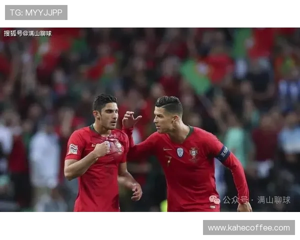 塞尔维亚与葡萄牙精彩对决视频回顾及赛后分析