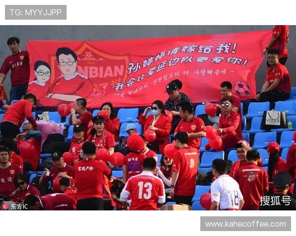 辽宁宏运迎战青岛队全力争胜期待精彩对决与球迷共庆足球盛宴