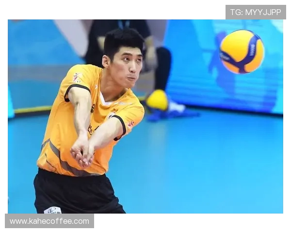 上海排球队快攻战术解析与战绩提升之路